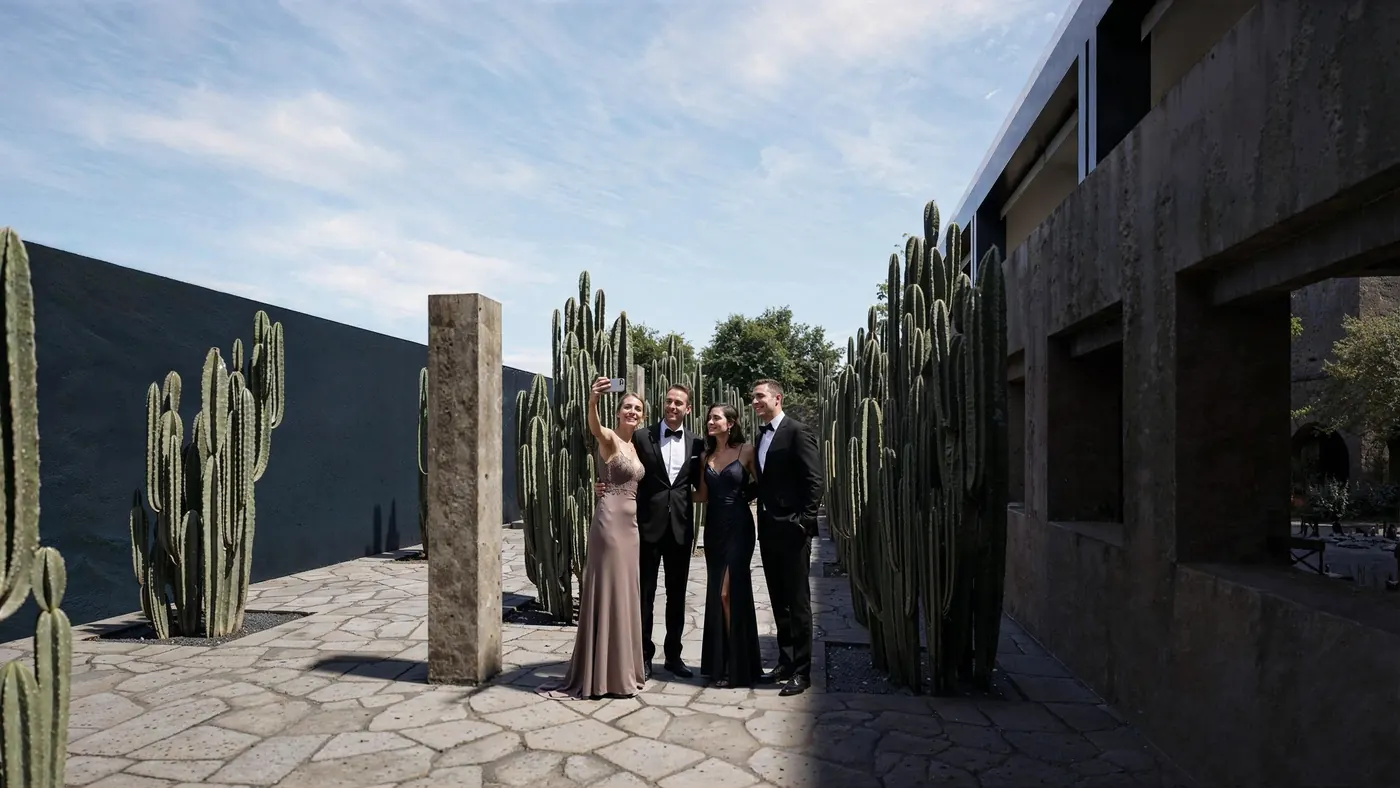 Galería de cactus entre muros de piedra
